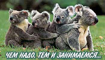 Фото животных