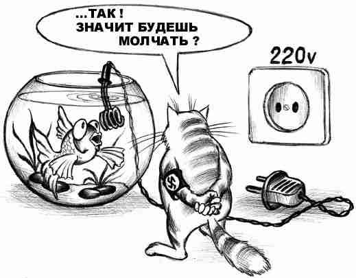    :   