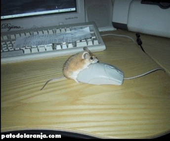   :   