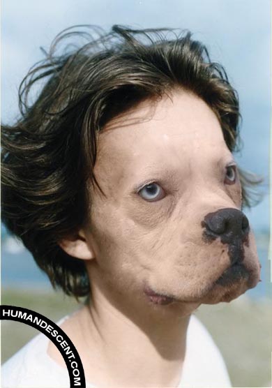   ,    