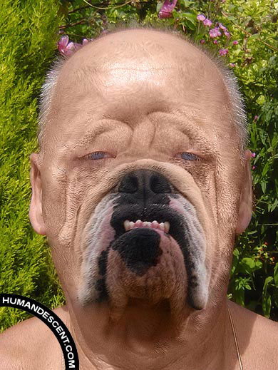   ,    
