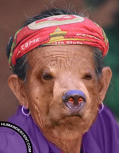   ,    