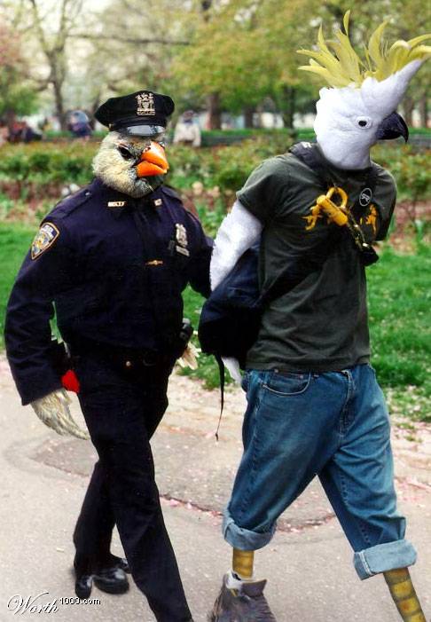  ,    