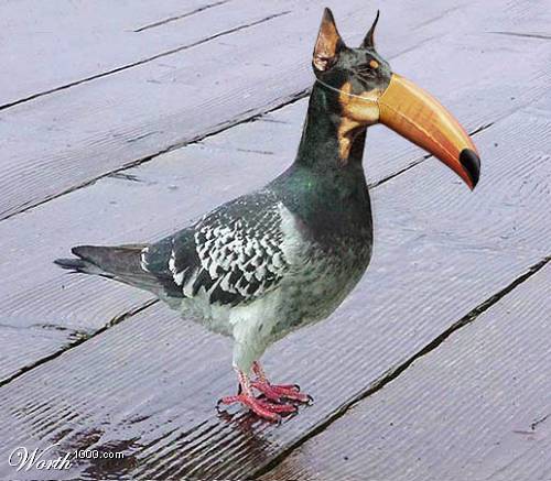   ,    