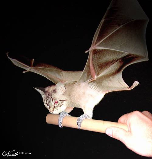   ,    
