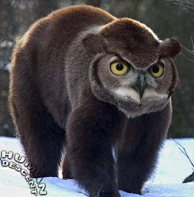   :     