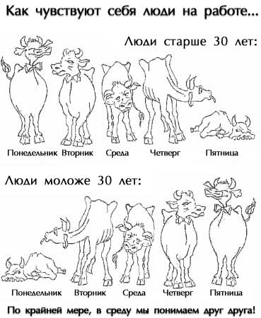 Прикольные рисунки - Funny Pics